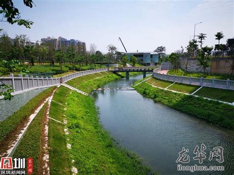 龙华“三位一体”治水绿色发展新道路提升居民幸福感_龙华视觉_龙华网_百万龙华人的网上家园