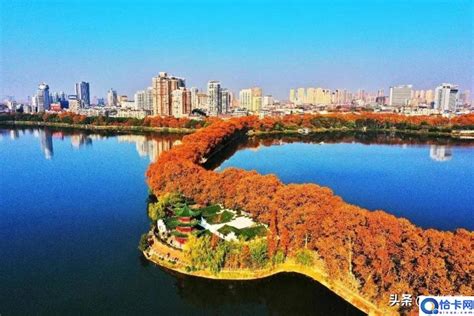 2020甘棠湖-旅游攻略-门票-地址-问答-游记点评，浔阳旅游旅游景点推荐-去哪儿攻略