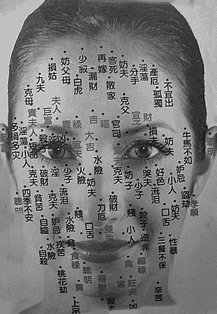 女人面相图解大全图片