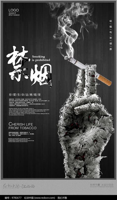 朝鲜香烟品牌大全 朝鲜烟的名字对照图片(10款高性价比高)-香烟网