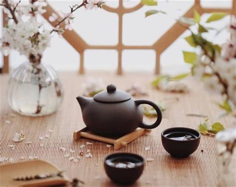 让茶成为诗意生活的起点 | 521国际饮茶日_茶马推荐_茶马网