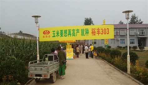 北京联创种业公司依托商丘生态站开展玉米良种示范推广_中国农业科学院农田灌溉研究所