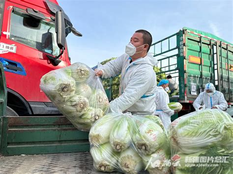 顺鑫石门市场基地田间直采蔬菜 市级市场储备蔬菜2000吨_手机新浪网
