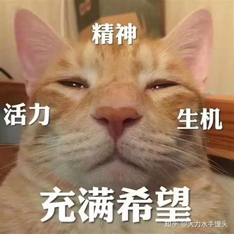 沙雕表情包大全图片