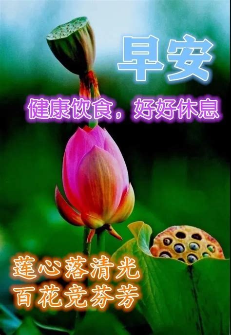 夏天问候大全图片