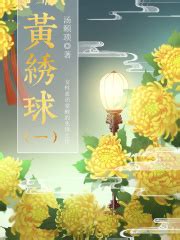 晚清女性小说：黄绣球（1）((清)汤颐琐)全本在线阅读-起点中文网官方正版