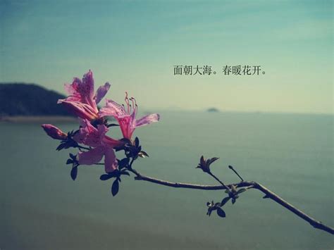 春暖花开 赏花正当时_凤凰网视频_凤凰网