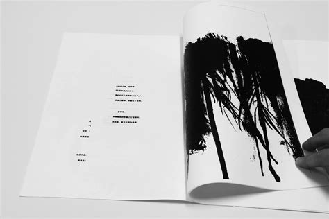 书籍设计-《飞鸟集》_XiNYi_Mona-站酷ZCOOL