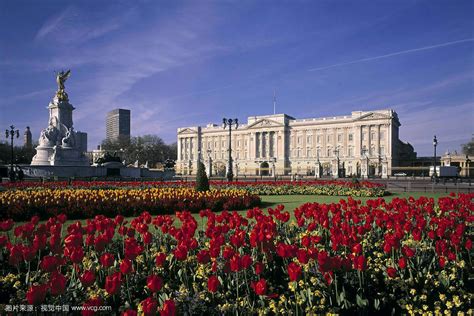 2020白金汉宫-旅游攻略-门票-地址-问答-游记点评，伦敦旅游旅游景点推荐-去哪儿攻略