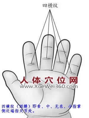 四缝的准确位置图图片 四缝的准确位置图图片