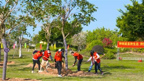 [汕尾] 举办“共建家乡林——乡贤助力绿美汕尾生态建设”树木捐种活动