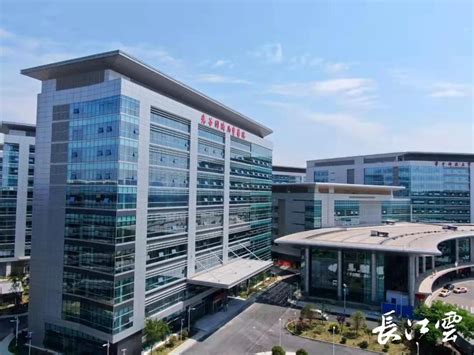 中国首个中德友好医院在同济医院光谷院区挂牌_中医学