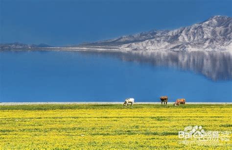 新疆：色彩之路--绝美伊犁-中青旅遨游网