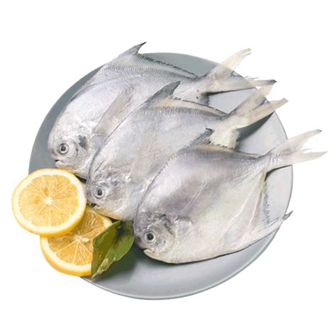 水产海鲜白鲳鱼素材图片免费下载-千库网