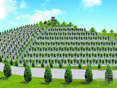 成都风水好的公墓，真武山憩园全面启动墓地绿化工程