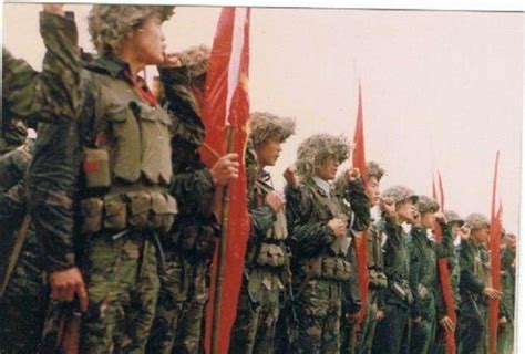 1987年老山战役，31名黑豹突击队员灭敌380余人，内附真实作战照-搜狐大视野-搜狐新闻