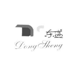 东盛DongSheng - 东盛DongSheng公司 - 东盛DongSheng竞品公司信息 - 爱企查