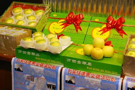 山西万荣县金苹果新闻发布会在无锡朝阳市场举行-企业动态-无锡朝阳集团