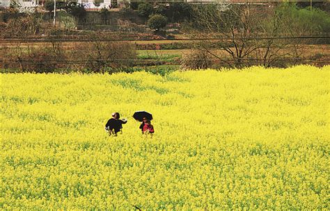 组图丨荷塘仙庾岭山间 藏着这些如画风景_荷塘区_湖南频道_红网