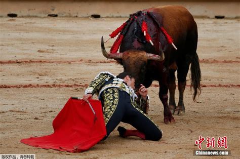 斗牛士斗牛图片-在一个典型的西班牙斗牛士斗牛战斗素材-高清图片-摄影照片-寻图免费打包下载