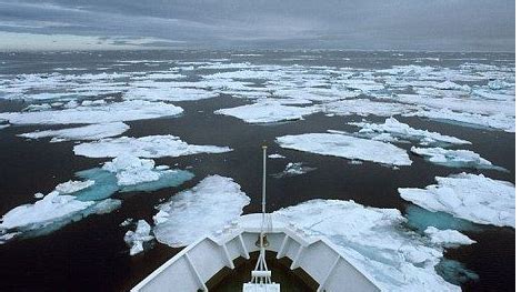 全球变暖加剧，冰川正在加速融化，极地生物该何去何从？_腾讯视频