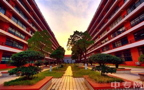武汉部分高校学生宿舍被临时征用，改造成定点医疗点|南国早报网-广西主流都市新闻门户