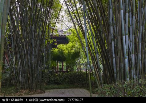 现代竹林庭院景观3d模型下载_ID11595309_3dmax免费模型-欧模网