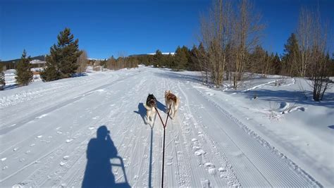 两支狗拉雪橇队在加拿大育空地区举行的狗拉雪橇比赛中穿越冬季景观。视频素材_ID:VCG42673649641-VCG.COM