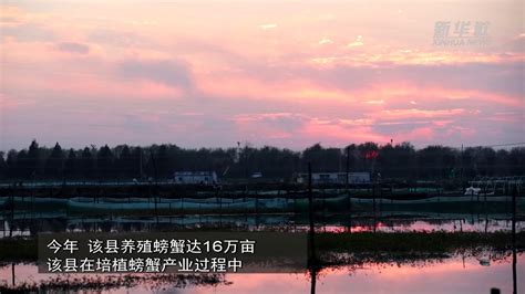 鹿園-泗洪洪泽湖湿地景区 官方网站