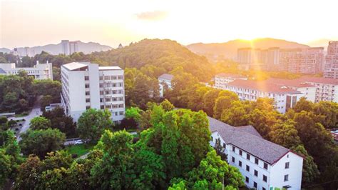 凤凰网：浙江农林大学2020“三位一体”招生工作启动，计划招生300人-浙江农林大学
