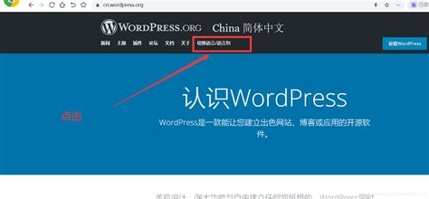 wordpress中文网站代码下载_如何下载wordpress的页面代码-CSDN博客