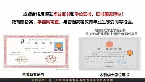 不同大学的研究生就业有差别吗