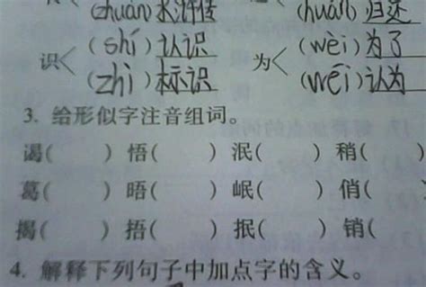 披的意思,披的解释,披的拼音,披的部首,披的笔顺-汉语国学