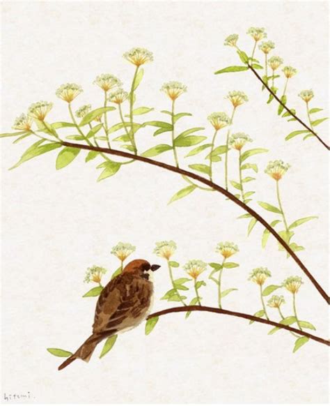 井上瞳图片