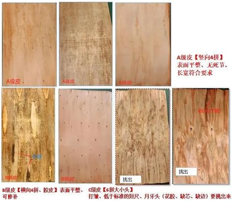 共谱新蓝图 团团圆圆板材&中国木业网达成战略合作-中国木业网