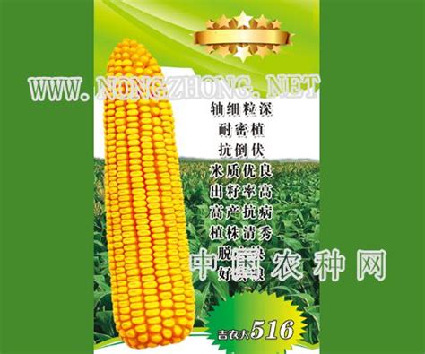 先玉1466玉米品种-农百科