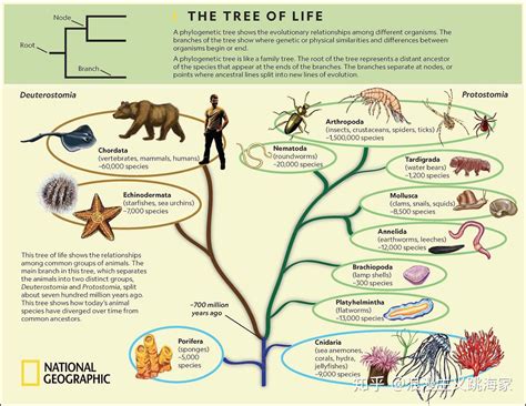 地球上所有的生物有一个共同的祖先吗？ - 知乎