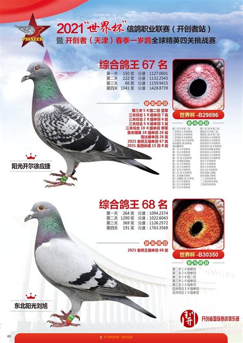 世界名鸽-中国信鸽信息网相册