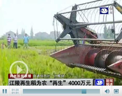 江陵大力推广再生稻种植 5万亩为农民增收4000万-新闻中心-荆州新闻网