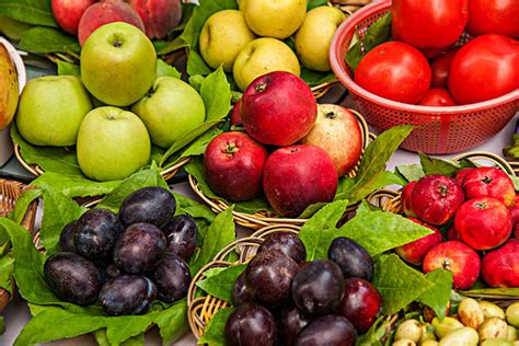 海南特产水果有哪些（来海南必买的十大特产水果推荐） – 碳资讯