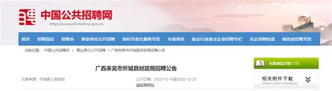 2022年广西来宾市忻城县财政局招聘公告（报名时间12月19日至25日）