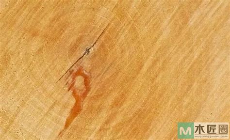 中国的四大名贵木材是什么？_酷知经验网