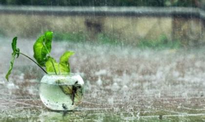 杭州春夏雨水多吗？一般一个月下雨能下多少天-百度经验