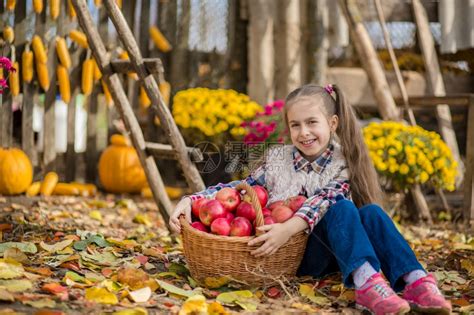 秋天在农场采摘蔬菜和水果的孩子高清图片下载-正版图片308037332-摄图网