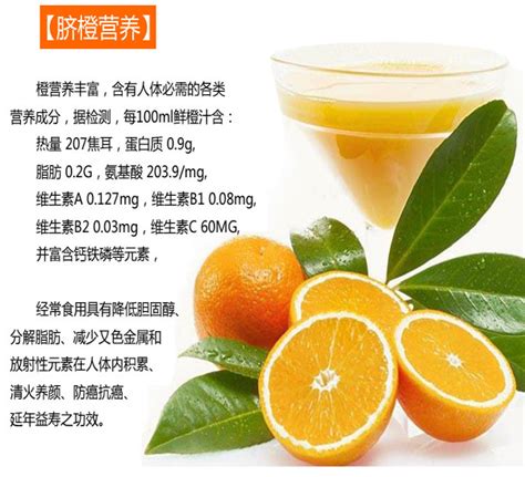 脐橙的营养价值-信丰县裕和农业有限公司|裕和农业|南果树|果树牌|裕和|信丰脐橙|中国橙乡