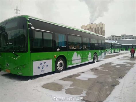 图解 《吉林省道路客运班线公交化改造运营服务及管理规范（试行）》政策解读