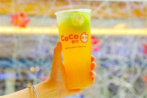coco奶茶加盟成本-coco奶茶官方网站