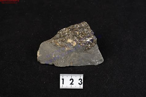 含辉石岩包体的玄武岩_Basalt with Pyroxenite Inclusion_国家岩矿化石标本资源共享平台