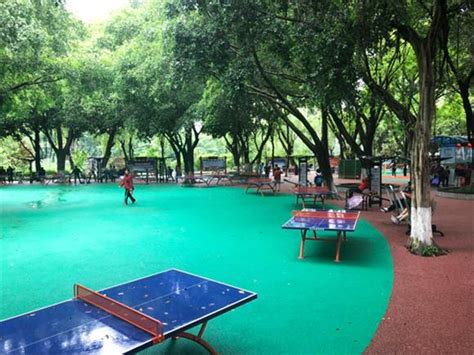 大渡口再添一座社区公园 重庆风景园林网 重庆市风景园林学会