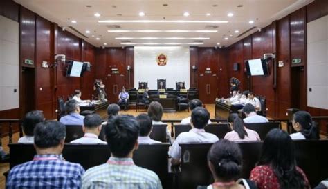 一起“民告官”案件在上海高院开庭，上海海关副关长出庭应诉